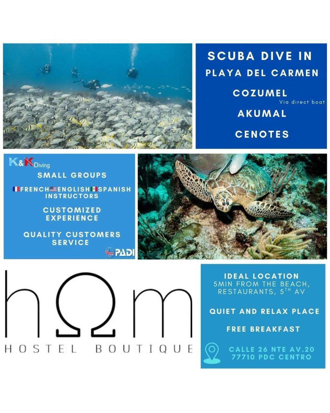 Hostel Hom Boutique Playa del Carmen